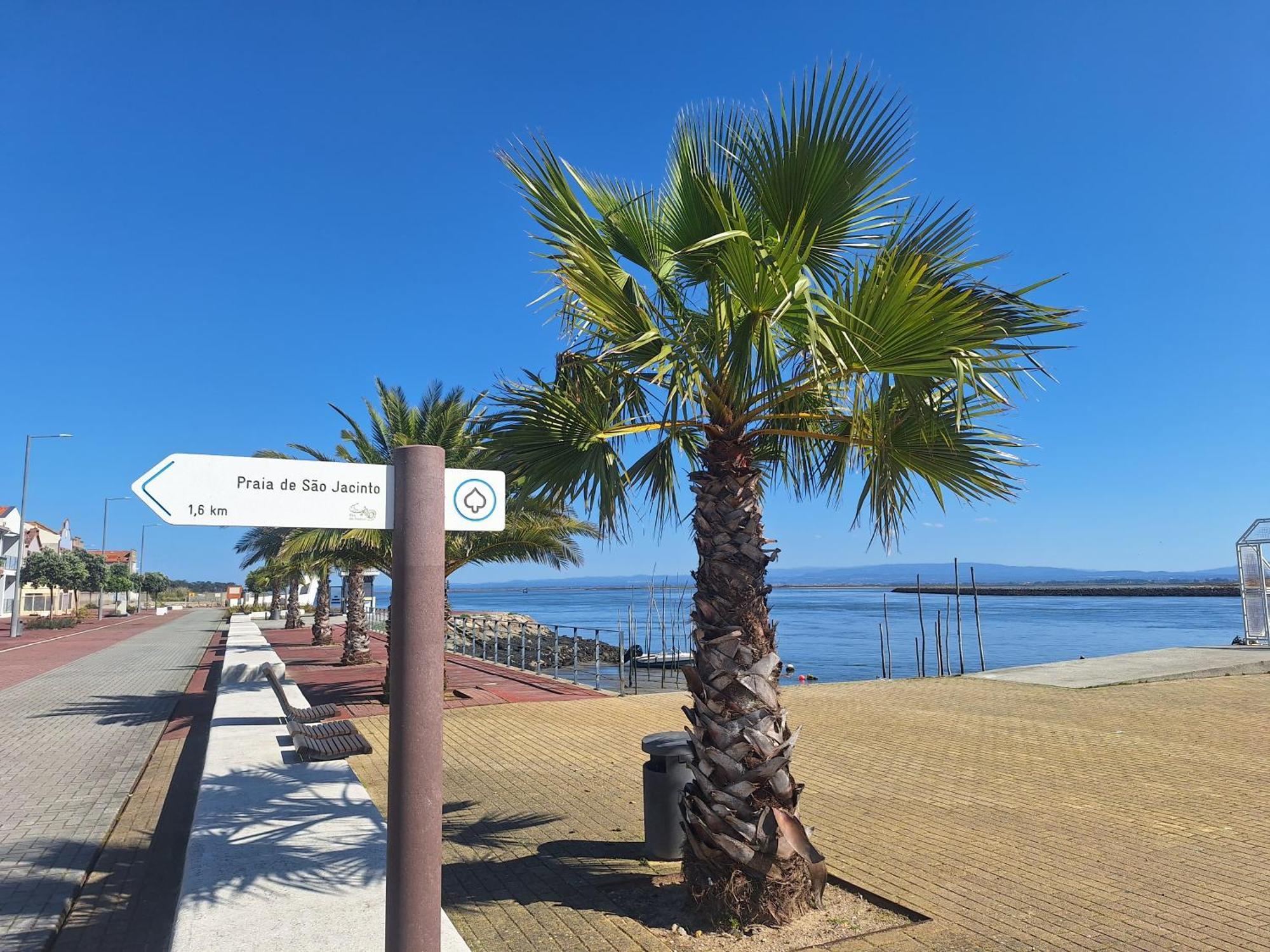 Apartment Close To The Ria De Aveiro, Sao Jacinto エクステリア 写真