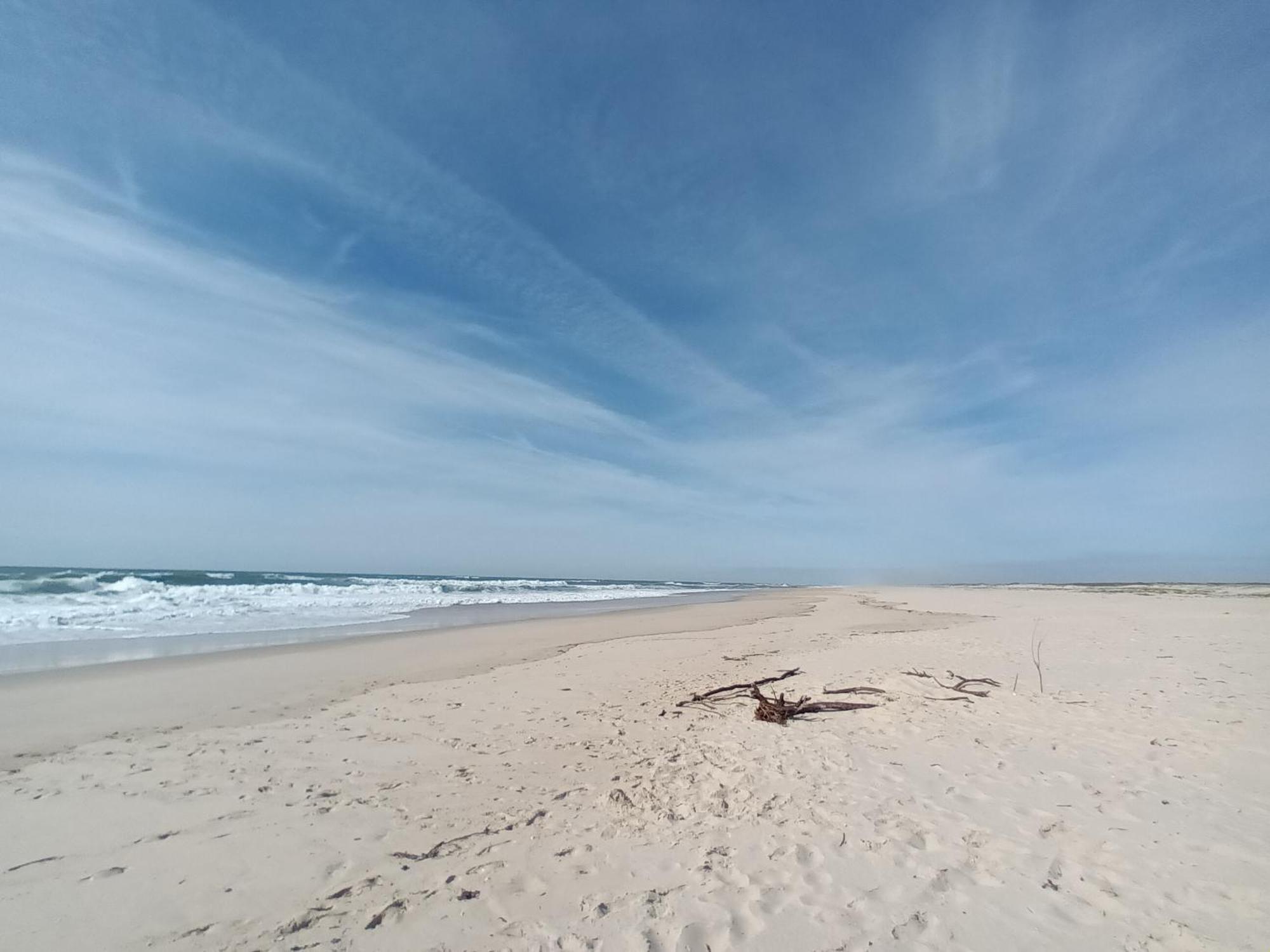 Apartment Close To The Ria De Aveiro, Sao Jacinto エクステリア 写真